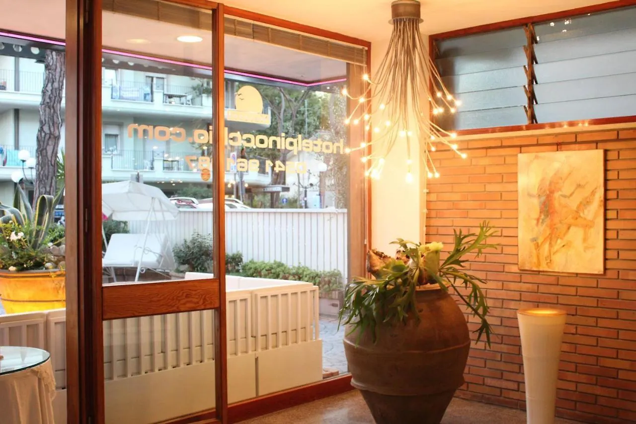 ***  Hotel Pinocchio Cattolica Italy